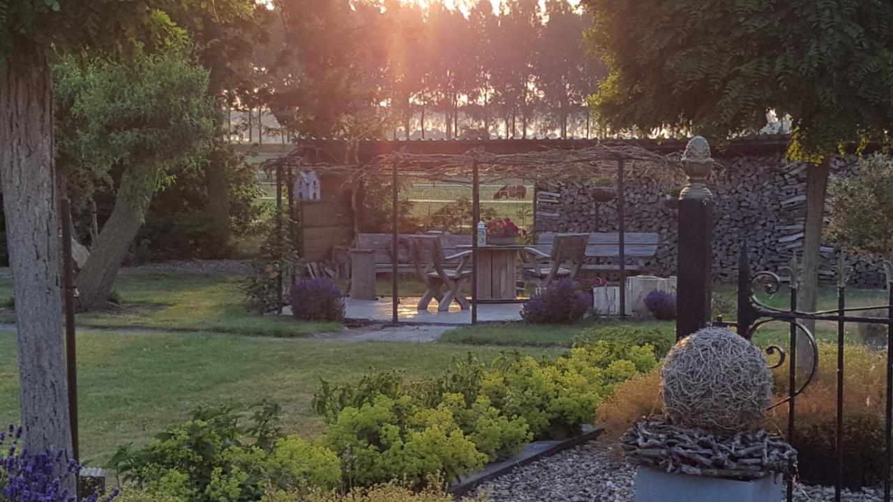 Bed & Breakfast De Kienstee Schoondijke エクステリア 写真