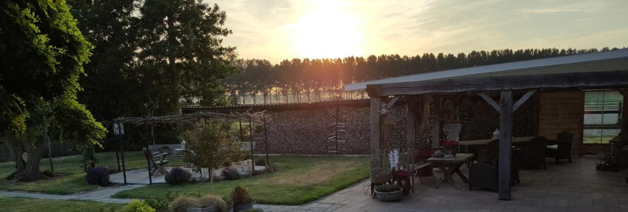 Bed & Breakfast De Kienstee Schoondijke エクステリア 写真